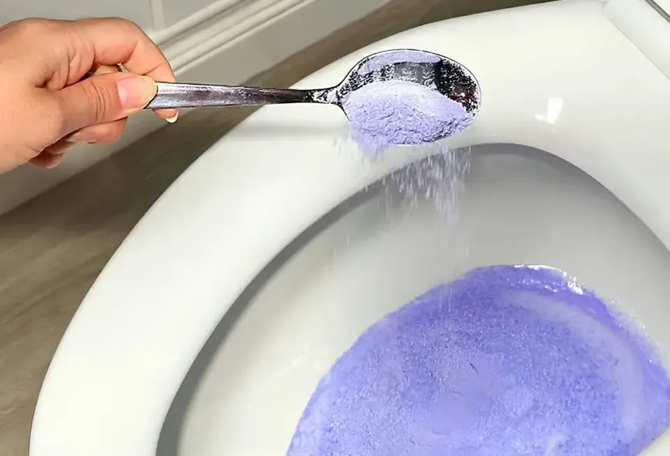 Put Fizz clean using Spoon 